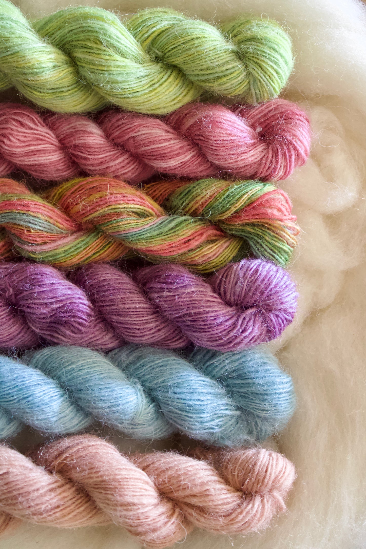 June Colors • Cheviot Singles