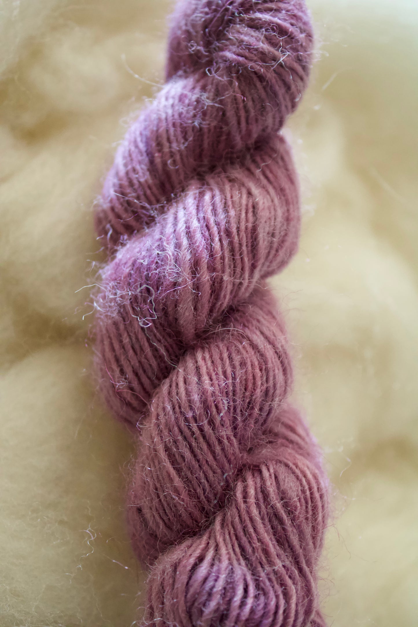 June Colors • Cheviot Singles