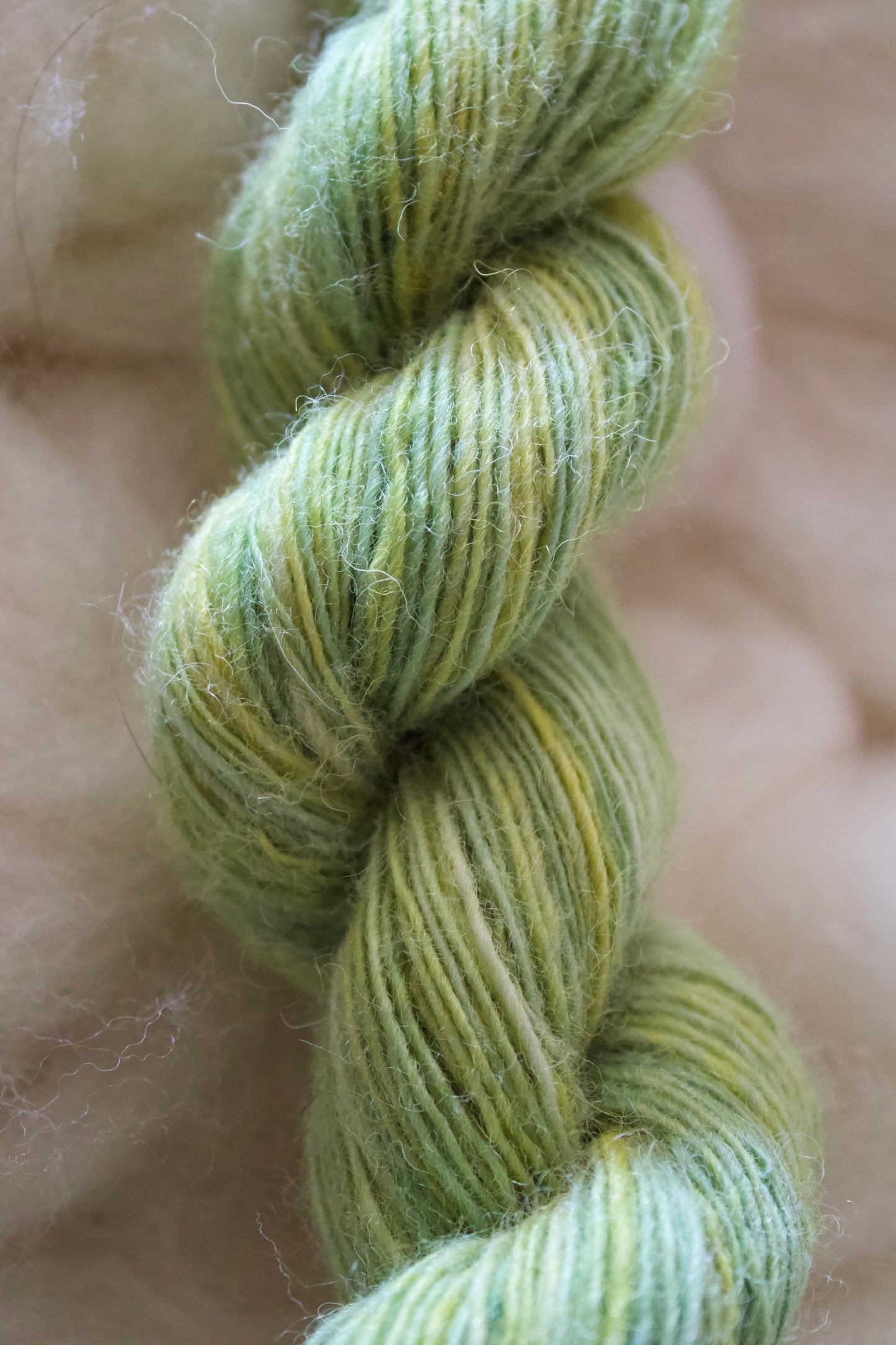 June Colors • Cheviot Singles