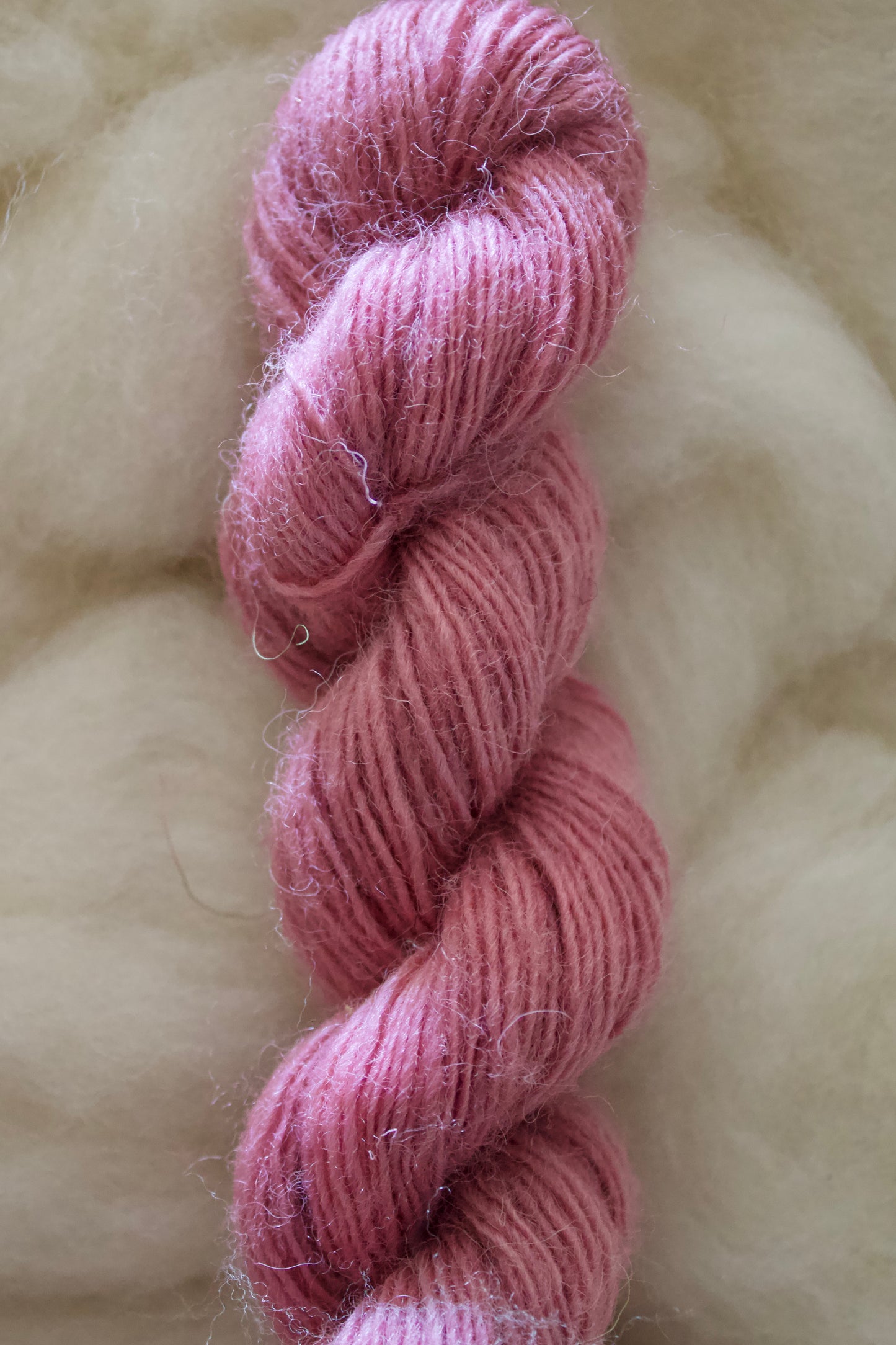 June Colors • Cheviot Singles