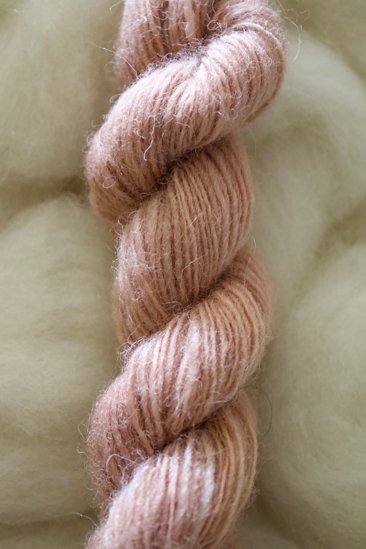 June Colors • Cheviot Singles