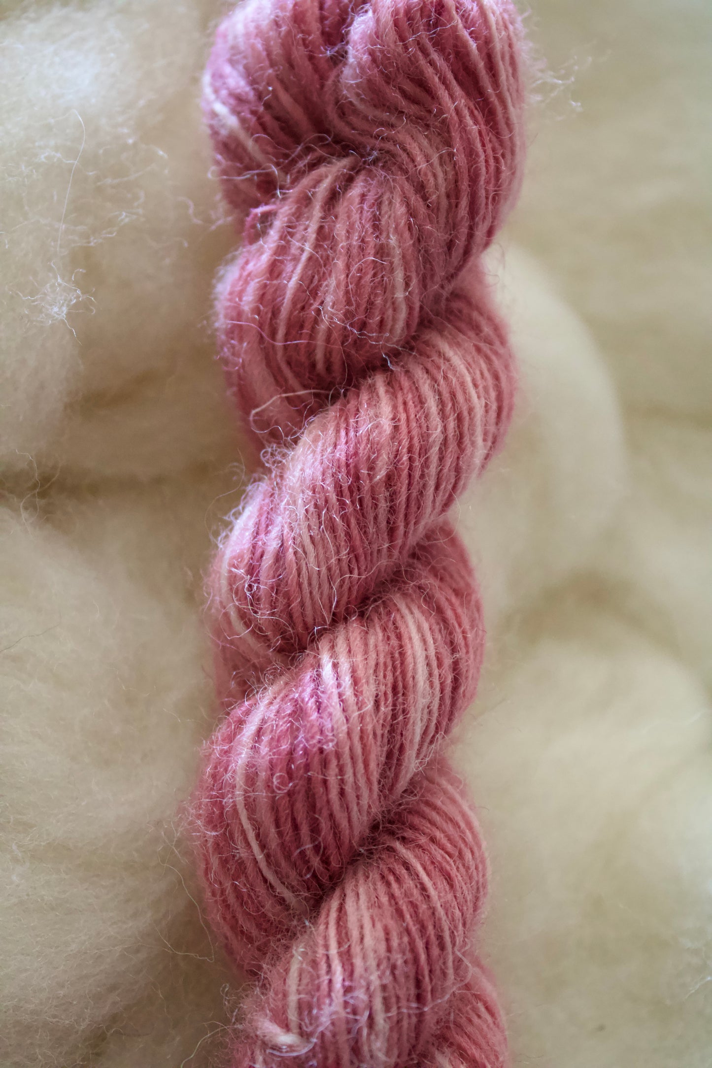 June Colors • Cheviot Singles